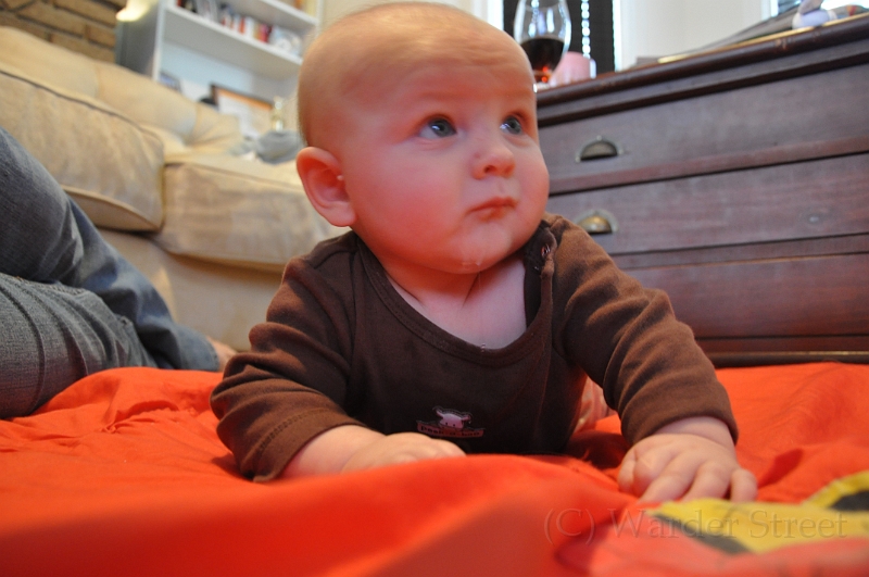 William's Nineteenth Week 30.jpg